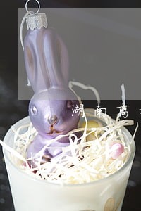 湖南离婚律师哪家好 湖南离婚律师哪家好