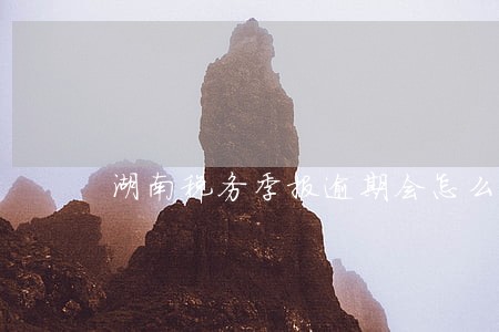 湖南税务季报逾期会怎么样