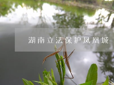 湖南立法保护凤凰城 湖南立法保护凤凰城