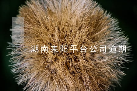 湖南耒阳平台公司逾期 湖南耒阳平台公司逾期