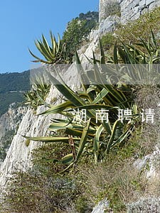 湖南聘请债务律师电话