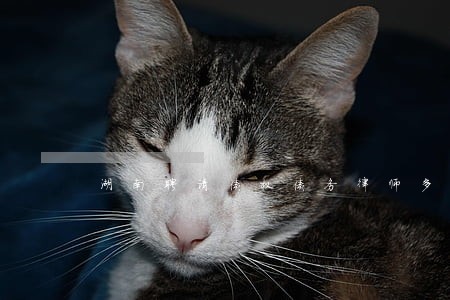 湖南聘请债权债务律师多少钱 湖南聘请债权债务律师多少钱