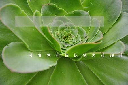 湖南聘请债权债务律师排名 湖南聘请债权债务律师排名