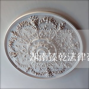 湖南臻乾法律咨询有限公司怎么样