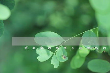 湖南衡阳珠晖区法院电话