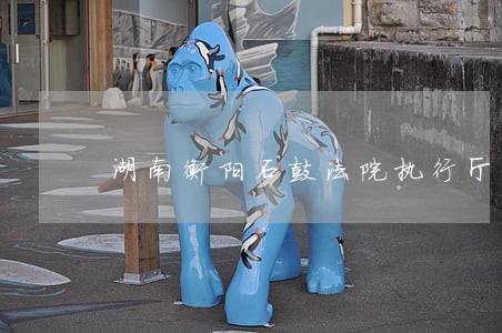 湖南衡阳石鼓法院执行厅 湖南衡阳石鼓法院执行厅