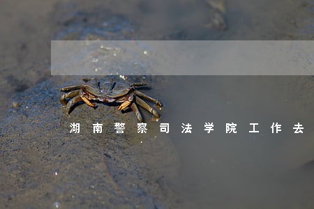湖南警察司法学院工作去向