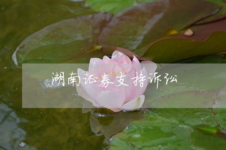 湖南证券支持诉讼 湖南证券支持诉讼