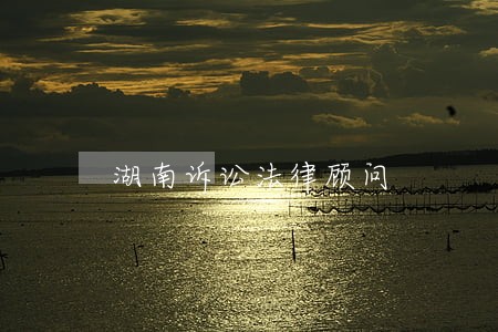 湖南诉讼法律顾问 湖南诉讼法律顾问