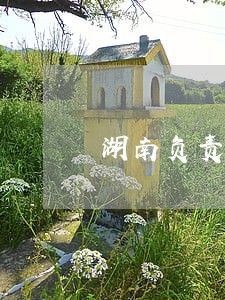 湖南负责房产律师 湖南负责房产律师