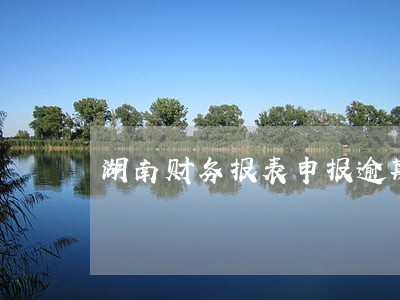 湖南财务报表申报逾期
