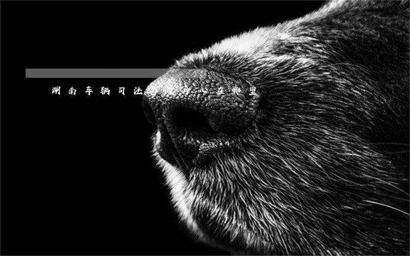 湖南车辆司法鉴定中心在哪里