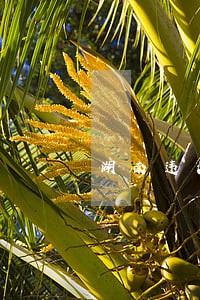 湖南违法随手拍奖励 湖南违法随手拍奖励