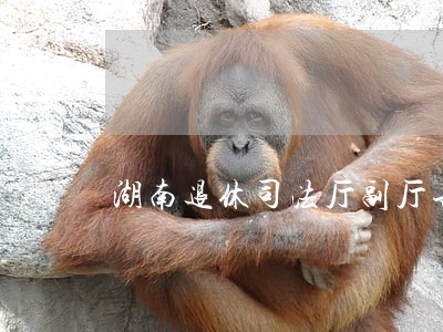 湖南退休司法厅副厅长