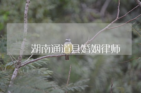 湖南通道县婚姻律师