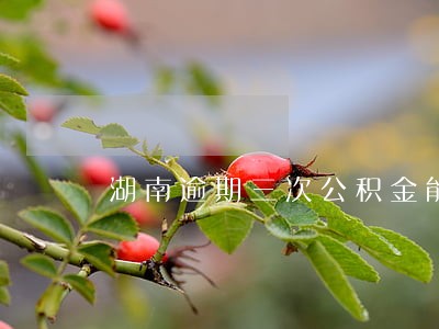 湖南逾期三次公积金能放款吗