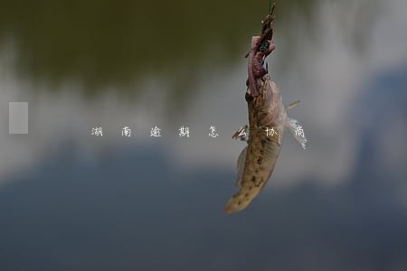 湖南逾期怎么协商 湖南逾期怎么协商