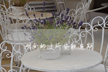 湖南邮政所贷款逾期 湖南邮政所贷款逾期