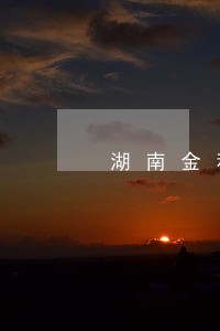 湖南金利环保司法拍卖