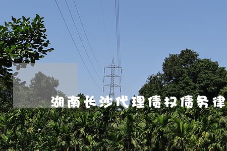 湖南长沙代理债权债务律师电话 湖南长沙代理债权债务律师电话