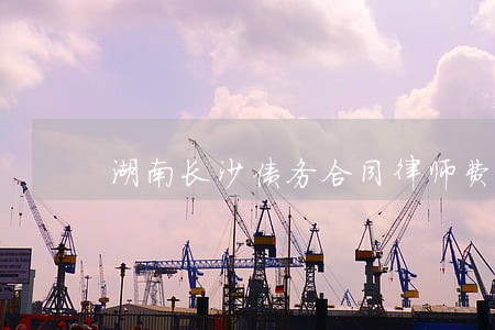 湖南长沙债务合同律师费用标准