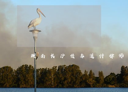 湖南长沙债务追讨律师诉讼费 湖南长沙债务追讨律师诉讼费