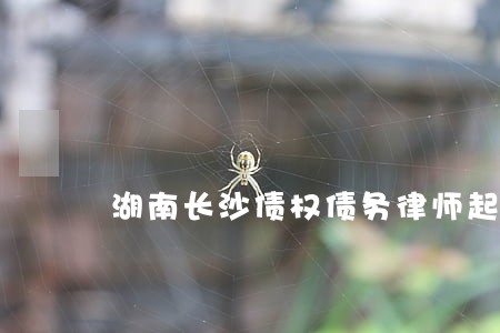 湖南长沙债权债务律师起诉费用 湖南长沙债权债务律师起诉费用
