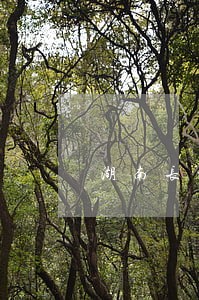 湖南长沙债权债务清理律师介绍 湖南长沙债权债务清理律师介绍
