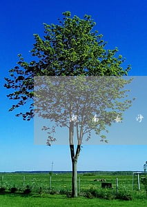 湖南长沙债权债务清理律师哪里找 湖南长沙债权债务清理律师哪里找