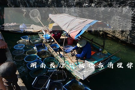 湖南长沙债权债务清理律师费 湖南长沙债权债务清理律师费