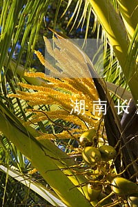 湖南长沙刑事案件律师哪个好 湖南长沙刑事案件律师哪个好