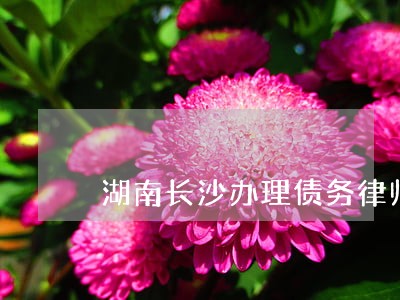 湖南长沙办理债务律师哪个好 湖南长沙办理债务律师哪个好