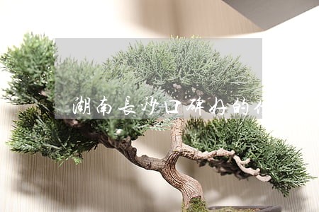 湖南长沙口碑好的债务律师咨询 湖南长沙口碑好的债务律师咨询