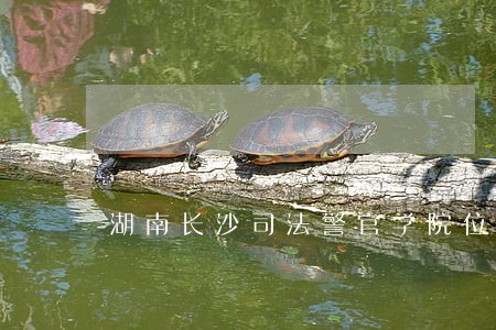 湖南长沙司法警官学院位置