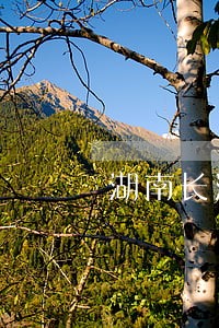 湖南长沙找离婚债务纠纷律师 湖南长沙找离婚债务纠纷律师
