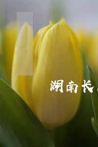 湖南长沙擅长债务律师收费标准 湖南长沙擅长债务律师收费标准