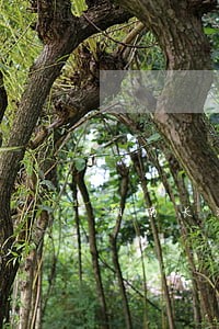 湖南长沙擅长离婚纠纷律师哪里找 湖南长沙擅长离婚纠纷律师哪里找