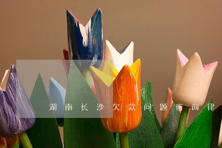 湖南长沙欠款问题咨询律师咨询 湖南长沙欠款问题咨询律师咨询