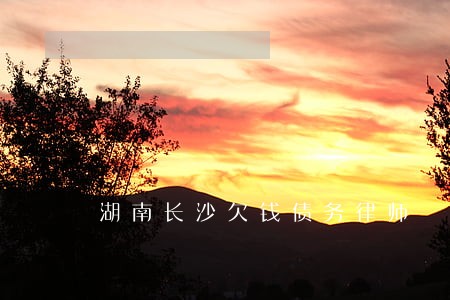 湖南长沙欠钱债务律师