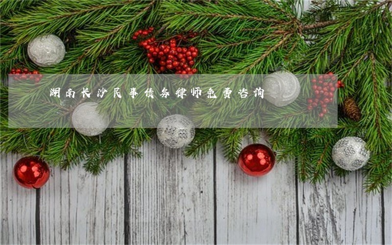 湖南长沙民事债务律师免费咨询 湖南长沙民事债务律师免费咨询