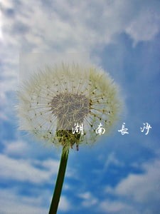 湖南长沙民事债务律师怎么委托 湖南长沙民事债务律师怎么委托