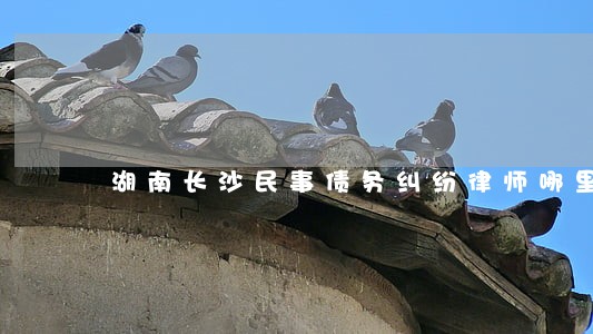 湖南长沙民事债务纠纷律师哪里找 湖南长沙民事债务纠纷律师哪里找