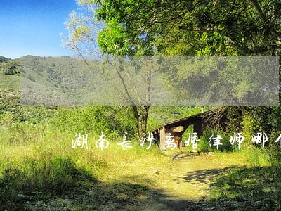 湖南长沙离婚律师哪个好 湖南长沙离婚律师哪个好