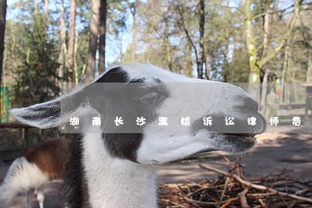 湖南长沙离婚诉讼律师费用 湖南长沙离婚诉讼律师费用