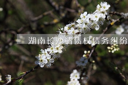 湖南长沙请债权债务纠纷律师 湖南长沙请债权债务纠纷律师