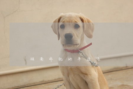湖南非机动车违法 湖南非机动车违法