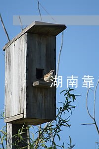 湖南靠谱的法律咨询 湖南靠谱的法律咨询