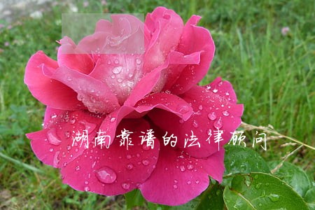 湖南靠谱的法律顾问 湖南靠谱的法律顾问