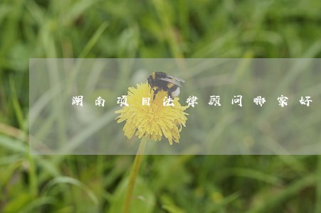 湖南项目法律顾问哪家好 湖南项目法律顾问哪家好