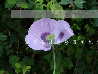 湖南高速警察启用无人机抓拍违法